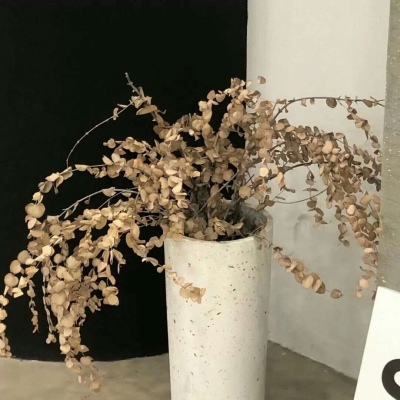 中江福瑞交流群